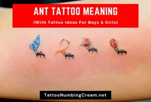 Ant Tattoo Meaning (With Tattoo Ideas For Boys & Girls)