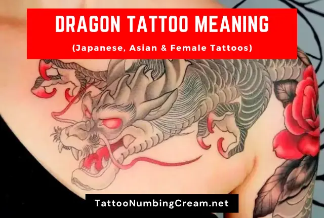 Dragon Tattoo Meaning (Japanese, Asian & Female Tattoos)