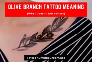 Olive Branch Tattoo Meaning - What Does It Symbolize