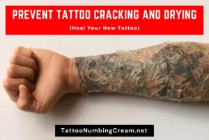 Prevent Tattoo Cracking And Drying (Heal Your New Tattoo)
