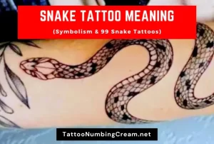 Snake Tattoo Meaning (Symbolism & Snake Tattoos)