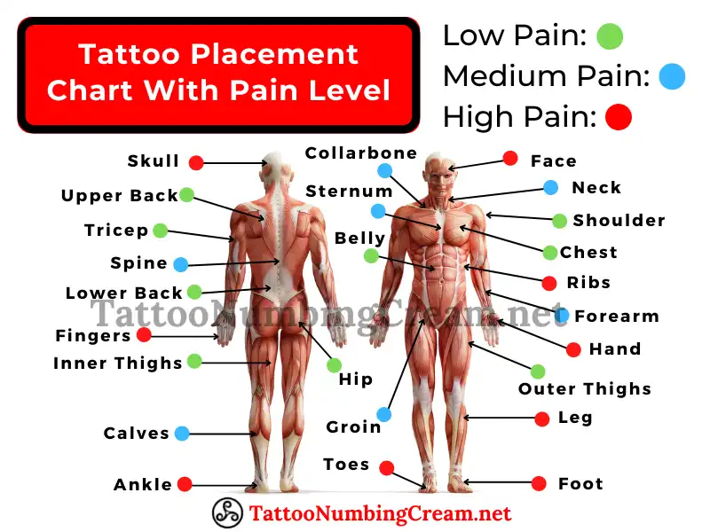 Tattoo Placement Chart With Pain