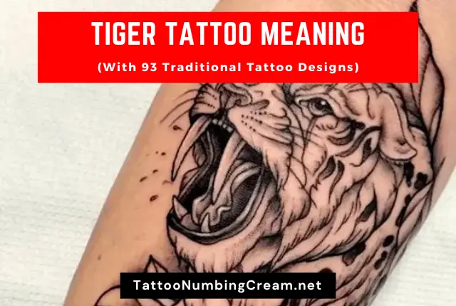 Tiger Tattoo Meaning (With Traditional Tattoo Designs)
