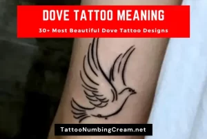 Dove Tattoo Meaning With Designs